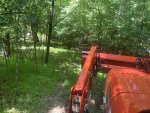 IMG_9483.jpeg