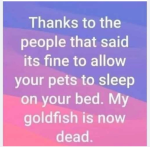 1781693715369.png
