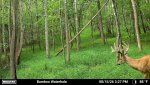 3371740-20260815192759-pir-trigger-20260815152736-2_20260815.jpg