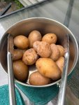 IMG_8310.jpeg
