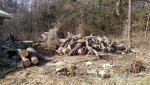 PILE BEFORE.jpg