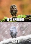 Spring.jpg