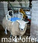 Sheep mower.jpg