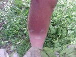IMG_20160518_184421_946.jpg