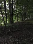 IMG_0189.jpg
