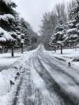 IMG_0229.jpg