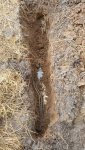 electrical line break 002.jpg