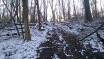 IMAG1049.jpg