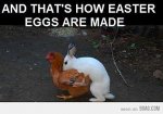 easter-eggs-made.jpg