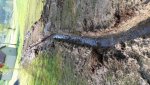 20170430_082542.jpg