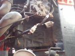 20170604_173952.jpg