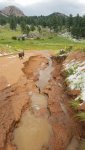 11a Damaged driveway.jpg
