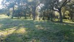 20170819_181937.jpg