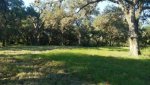 20170819_182118.jpg