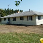 house ready, cows eating pears 008.jpg