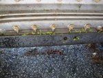 DSC04542.jpg