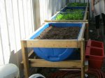 half-barrel-raised-beds-1-696x516.jpg