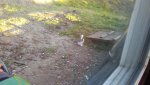 20171011_172354_Burst01.jpg