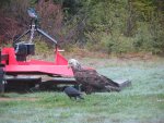 IMG_0154.jpg