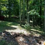 woods cleanup2.jpg