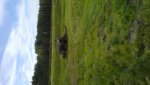 20180621_131412.jpg