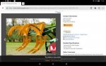 Screenshot_2018-11-10-11-58-51.jpg