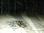 IMG_20171130_185709285.jpg