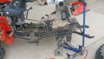 Back Apart.jpg
