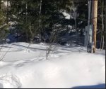 Deep snow.JPG