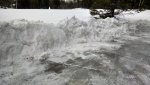 opened up 2nd driveway.jpg