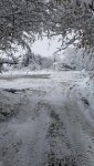 Kubota BX23s First Plowing - 01 12-02-2019.jpg