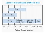 Micron scale.JPG