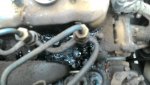 Injector IMG_6808.jpg