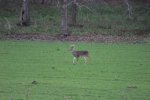 IMG_0048.JPG
