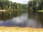 IMG_8010.JPG