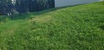 20200729_175206.jpg