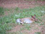 IMG_2308.jpeg