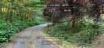 0422076C-7B26-4457-BE22-AC39418CE08B.jpeg