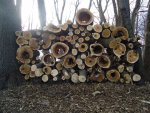 Wood Pile.jpg