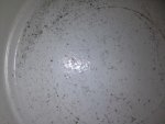 photo (2).jpg photo (2).jpg