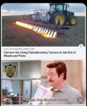 50153-ebbce0f331f2ea28b1d669bbf367edc1.jpeg