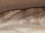 20201206_110620.jpg