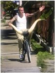texas bike.jpg