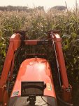 Flail Mowing Sweet Corn.jpg Flail Mowing Sweet Corn.jpg