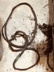 Flail Belts.jpg Flail Belts.jpg