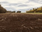 Rototilled Corn Patch.jpg