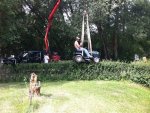 hedge trimmer.jpg