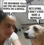 1636383594847.png