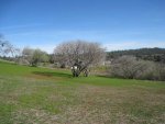 IMG_2621.jpg