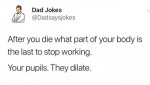 die late.jpg